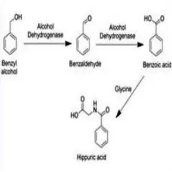 Benzyl Acetate, Formula C7H8O