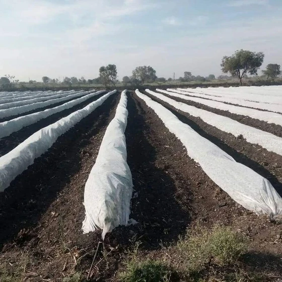 agriculture-crop-cover-2.webp