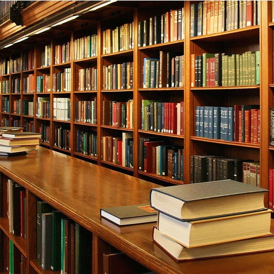library3.webp