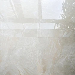 Appealing Look Floor Tiles