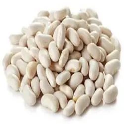 French Goldy Research Bean, Weight 500gm