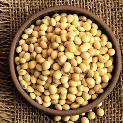 Organic Whole Soy Bean 