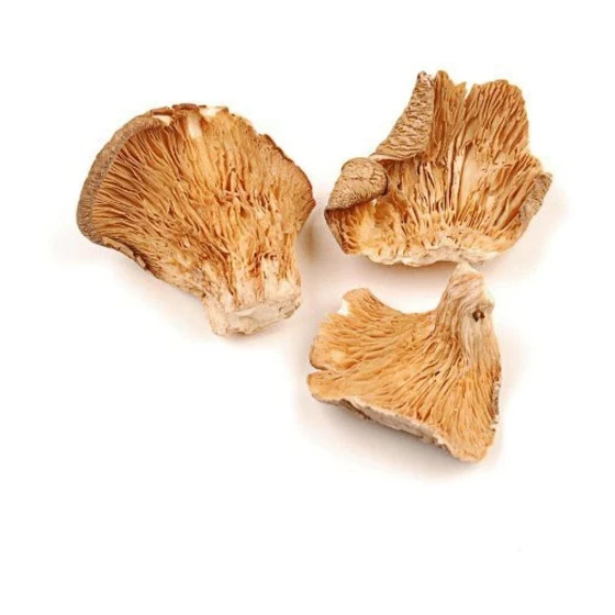 dry-mushroom-2.webp