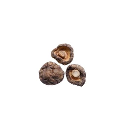  Dry Mushroom