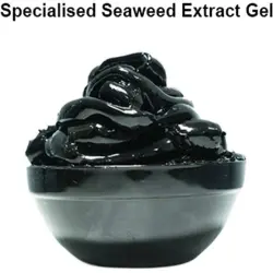 Seaweed Extract, Type Of FertilizersManure Organic Fertilizers
