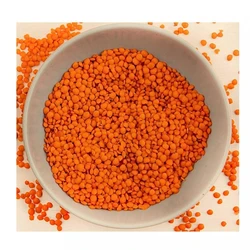 Whole Grain Masoor Dal