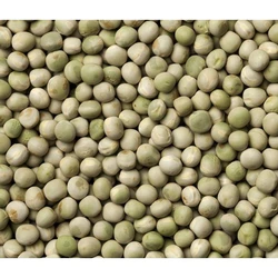 Green Pea Seeds