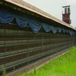 Poultry Curtain, Coated Type PVC Coated
