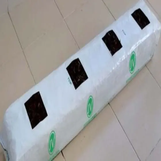 16314015-0-SUdkv7Gs.webp