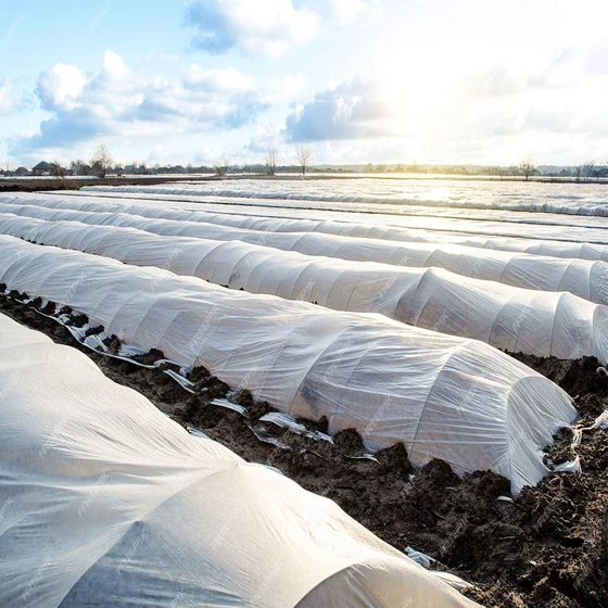 agricultural-non-woven-fabric-2.webp
