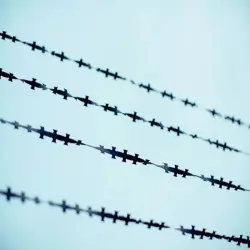 Agriculture Zatkha Wire Fence, Material MS