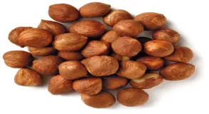 Fab Hazelnut Oil Soluble Flavour 30 Ml, Form Packed