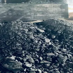 Non Coking Coal, Form Solid