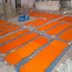 Cadmium Sulphide, Chemical Name AuCdS