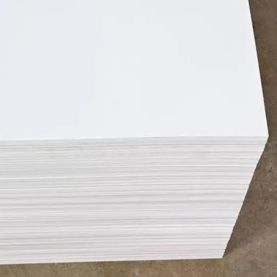 18799525-1-QvIUkAoC.webp