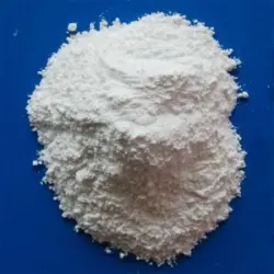 Sodium Stearyl Fumarate Powder, Type Of API Excipients