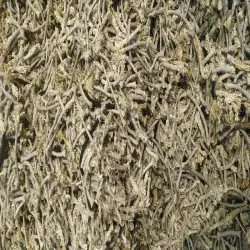 5mm Rope, 50-100 mreel, Filament Type Multifilament