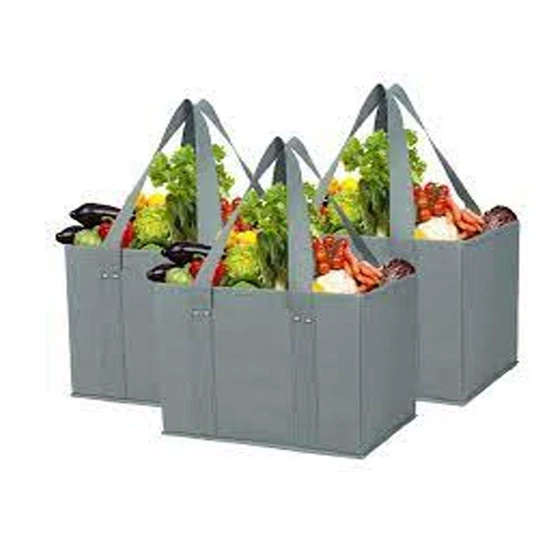 grocery-shopping-bags-2.webp