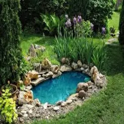 Agrosine Pond, Filter System Saptasarovaram