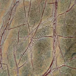 Rain Forest Marble, Application Area Flooring