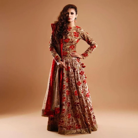 ladies-indian-dress-2.webp
