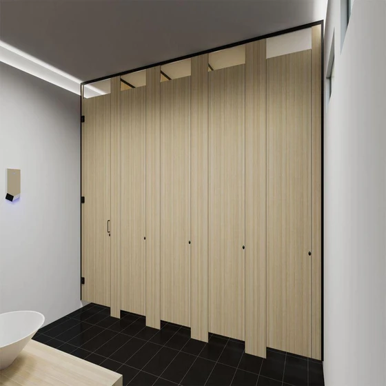 toilet-cubicle-designer-partition-2.webp