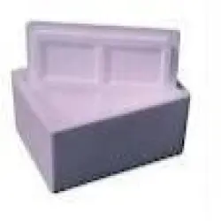 Thermocol Box, Size 1000x1200x600 mm