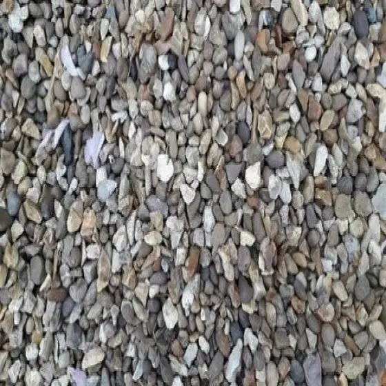 16175660-0-AMOA5Kx8.webp