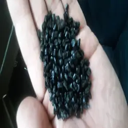 Reprocessed Granules, Physical State Granule