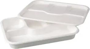 Sugarcane Bagasse Plates, Shape Rectangular