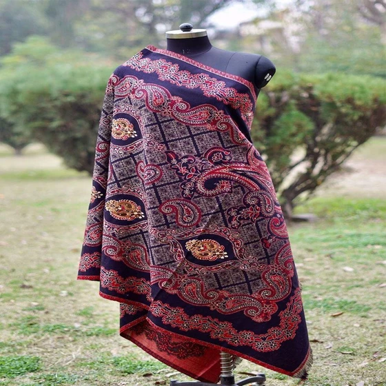 ladies-fancy-shawl-2.webp