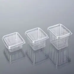 oracle Sauce Hinged Container, Usage Fruit Packaging