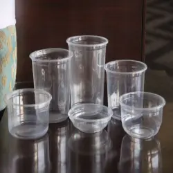 Plastic Disposable Food Container, Height 9