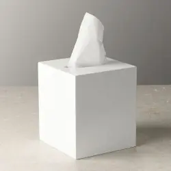 Tissue Paper, Ply 2 Ply