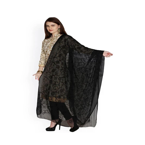 traditional-chiffon-dupatta-2.webp