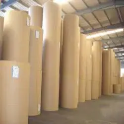 Coated Kraft Back Board, Paper Type Kraft paper board