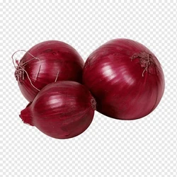 Onion Natural Red 
