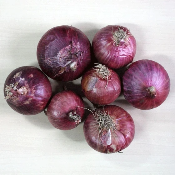 fresh-natural-onion-2.webp