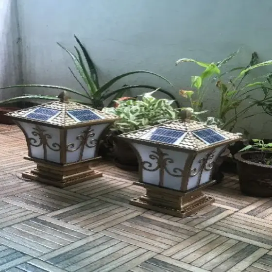 15882671-2-8lL1NzLQ.webp