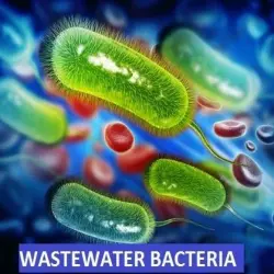 Sewage Odour Removing Bioculture, Treatment Technology Activated Sludge ProcessASP