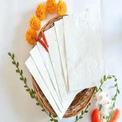 Seed Paper S, Size 22 X 30 inch