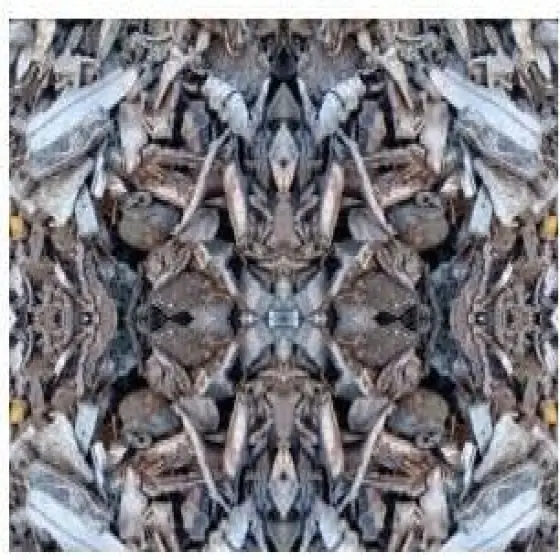 16119708-0-O5VtqOfH.webp