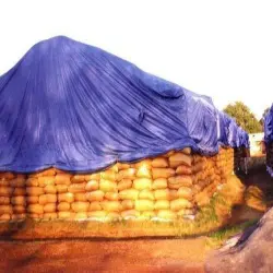 Plain Fumigation Covers, Unit of Measure PiecePieces