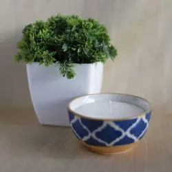 Food Bowl, Color White