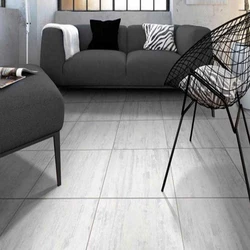 Polished Vitrified Tiles