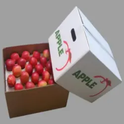 Corrugated Padding, Paper Type 120-180gsm