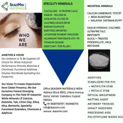 Calcined Pyrophyllite Powder, State Solid