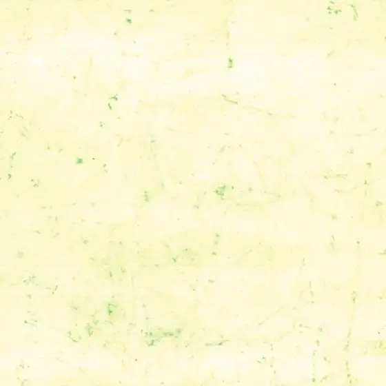 16329789-0-xJz0n0fw.webp