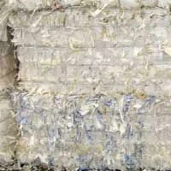 18709206-1-flGlh14e.webp