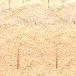 Tissue Paper from Banana Fibers, Banana fibre paper Custom size